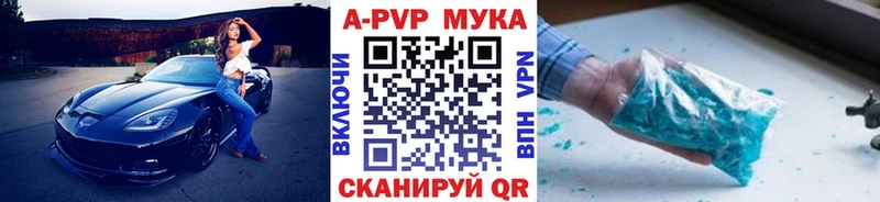 Купить закладки  Жуков  Альфа ПВП СК 