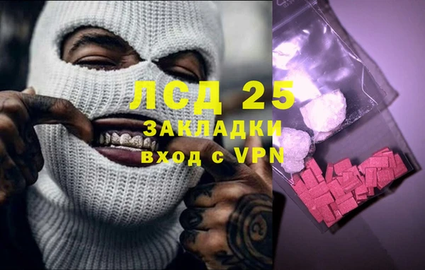 спиды Аркадак
