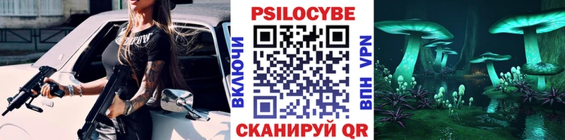 Псилоцибиновые грибы Magic Shrooms  Купить где  Жуков 